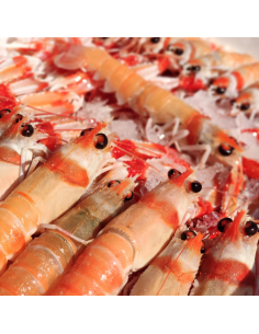 Cigalas 25/35 Piezas/Kg 2