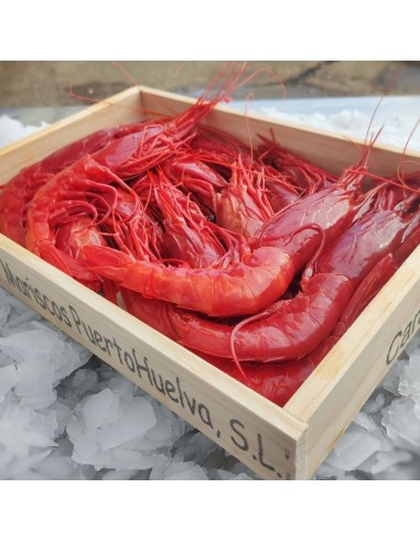 Carabineros 15/20 Piezas/Kg